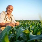 trabalhador rural Guia do Trabalhador rural: Benefícios do INSS em 2023