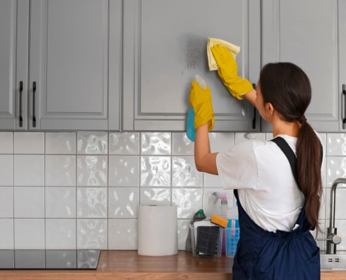 Trabalhador doméstico sem carteira assinada: O que fazer?