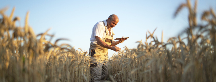 aposentadoria por idade