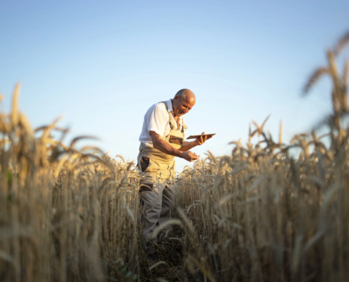 A Aposentadoria por Idade junto ao INSS e a Importância do Planejamento Previdenciário