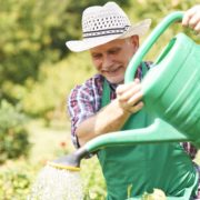 Como requerer a aposentadoria por idade diferenciada para trabalhadores rurais junto ao INSS