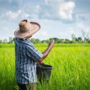 aposentadoria-por-idade-rural aposentadoria por idade