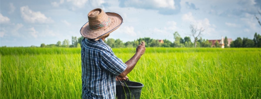 aposentadoria por idade