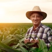 Aposentadoria-Rural-Negada-INSS Aposentadoria Rural Negada pelo INSS: Como Recorrer e Garantir Seus Direitos