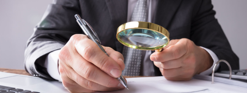 Pente-Fino do INSS 2024